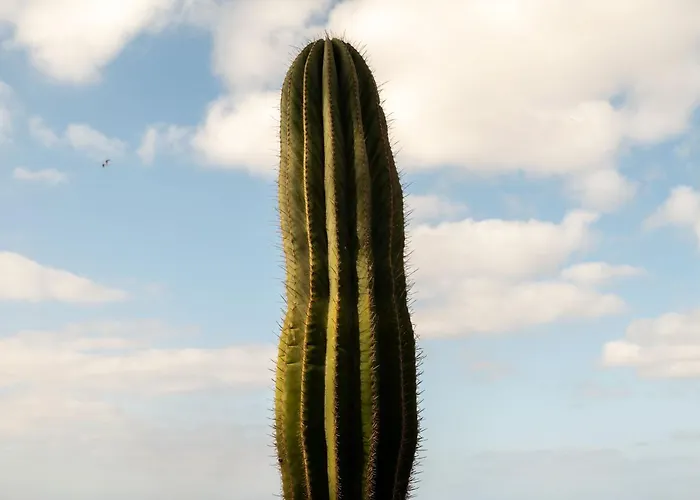 La Casa De La Playa 别墅 *